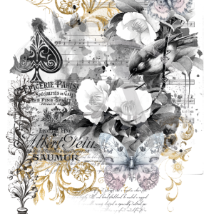 LAMINAS TRANSFER COLOR LYF-19