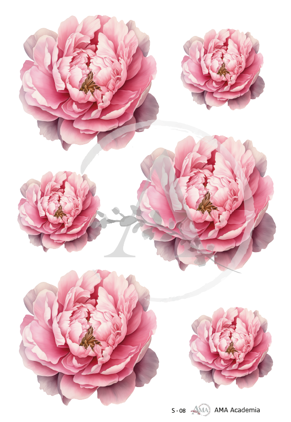 LAMINAS SUBLIMACION S-08