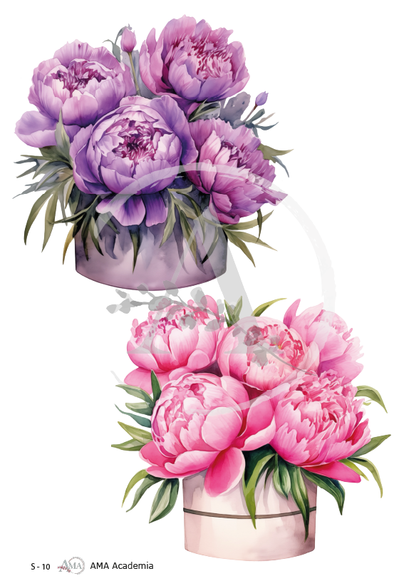 LAMINAS SUBLIMACION S-10