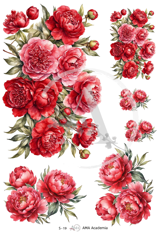 LAMINAS SUBLIMACION S-19