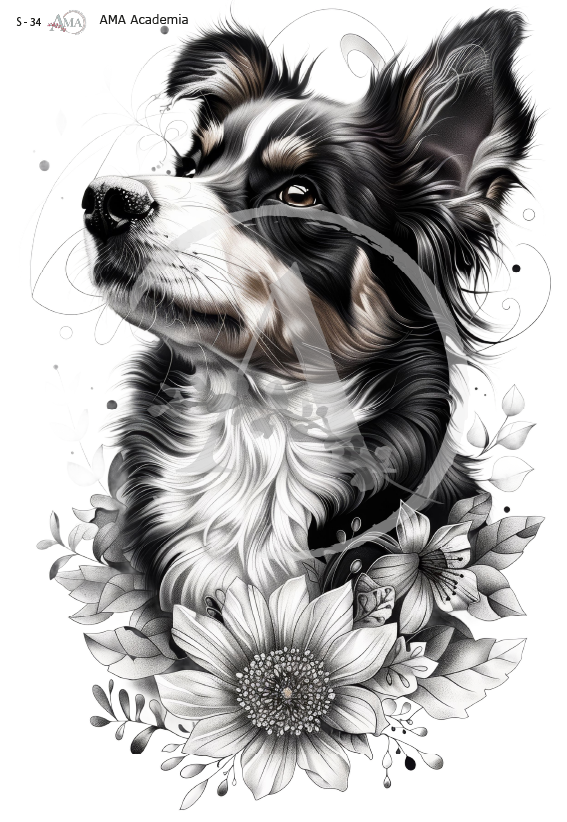 LAMINAS SUBLIMACION S-34