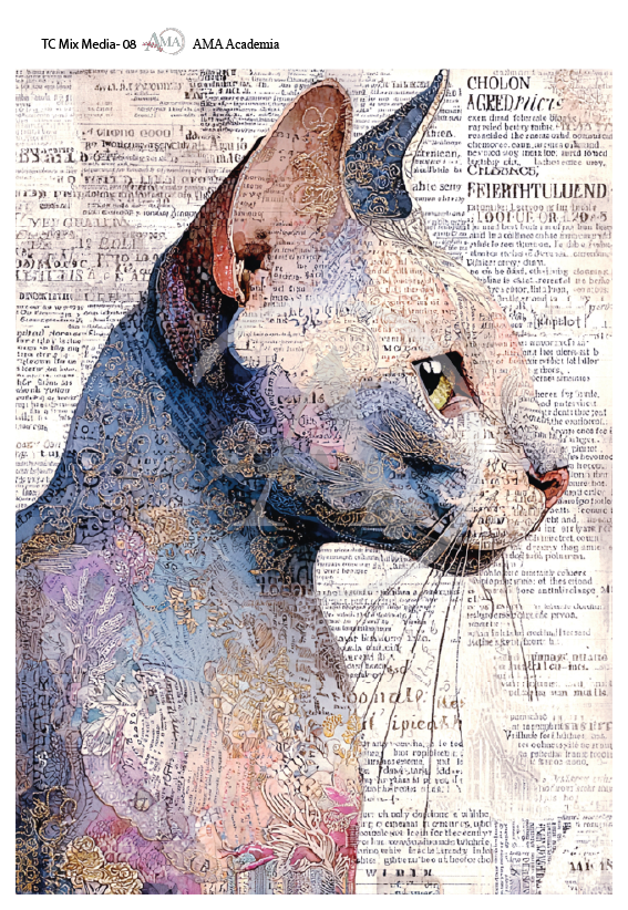 LAMINAS TRANSFER COLOR TC Mix Media-08