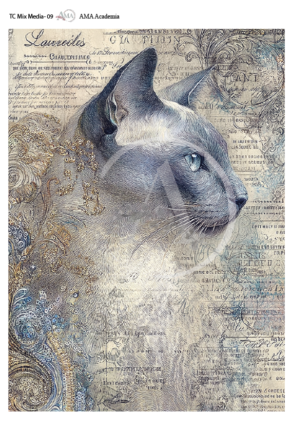 LAMINAS TRANSFER COLOR TC Mix Media-09