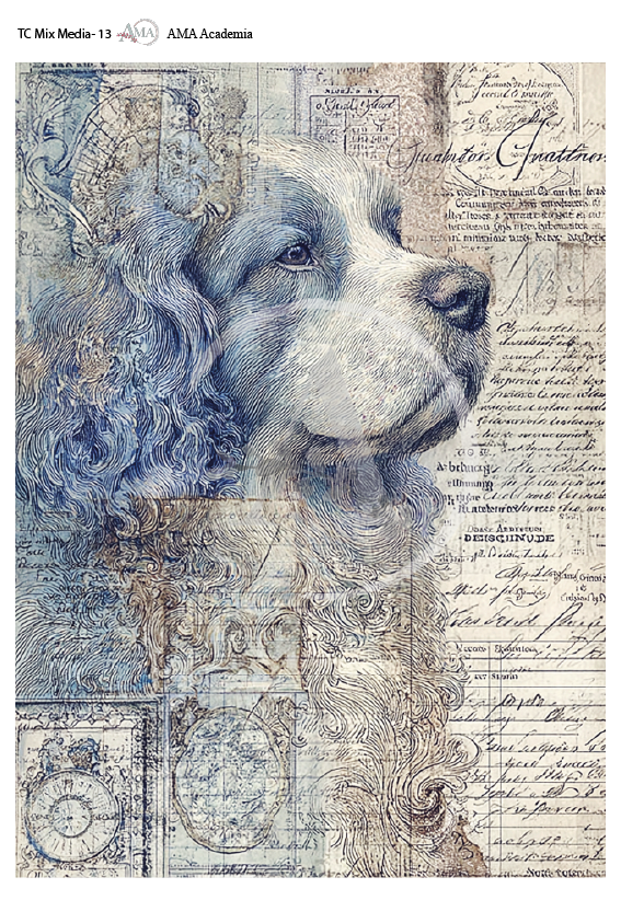 LAMINAS TRANSFER COLOR TC Mix Media-13