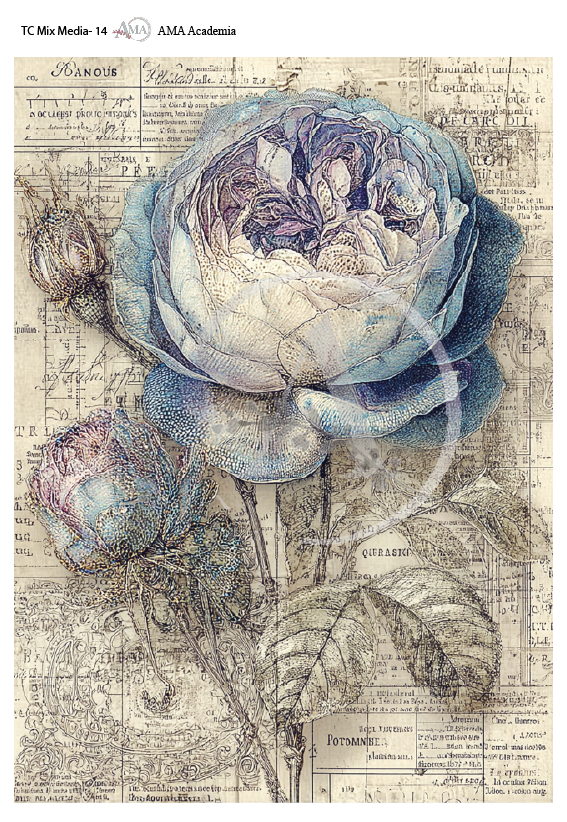 LAMINAS TRANSFER COLOR TC Mix Media-14