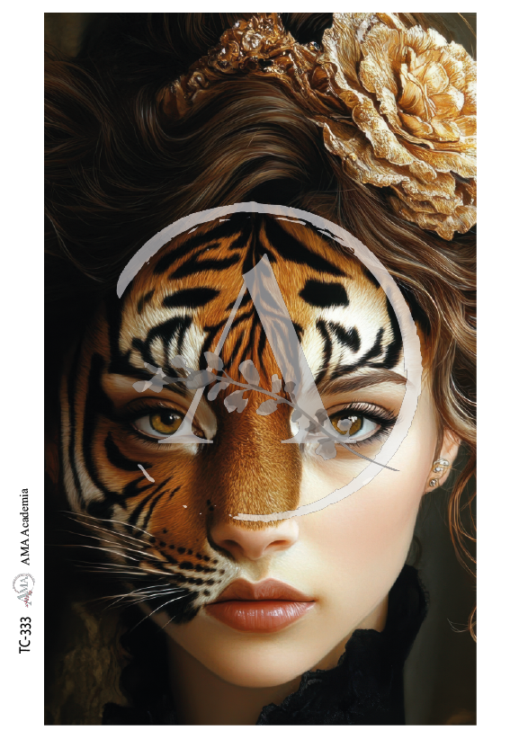 LAMINAS TRANSFER COLOR TC-333