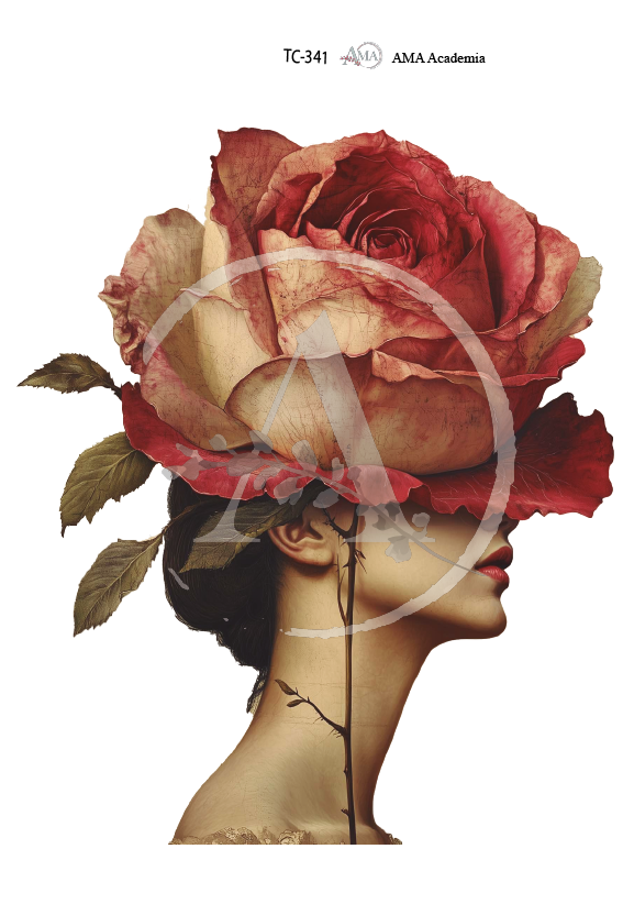 LAMINAS TRANSFER COLOR TC-341