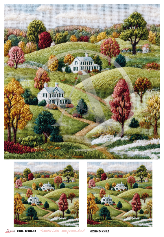 TRANSFER COLOR COLECCIÓN BORDADO 20X30 CMS