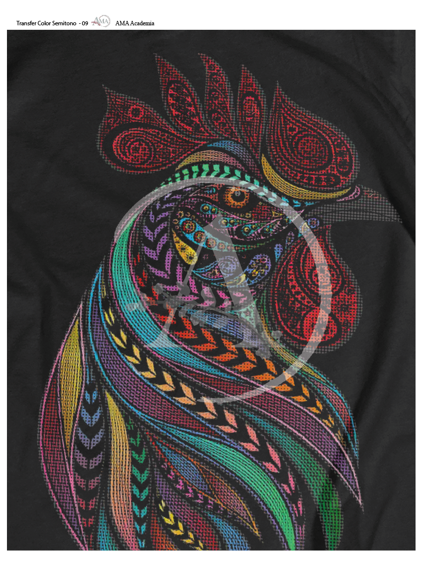 LAMINAS TRANSFER COLOR TCST-09