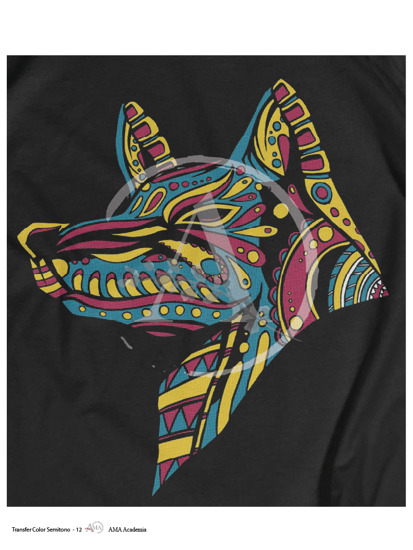 LAMINAS TRANSFER COLOR TCST-12