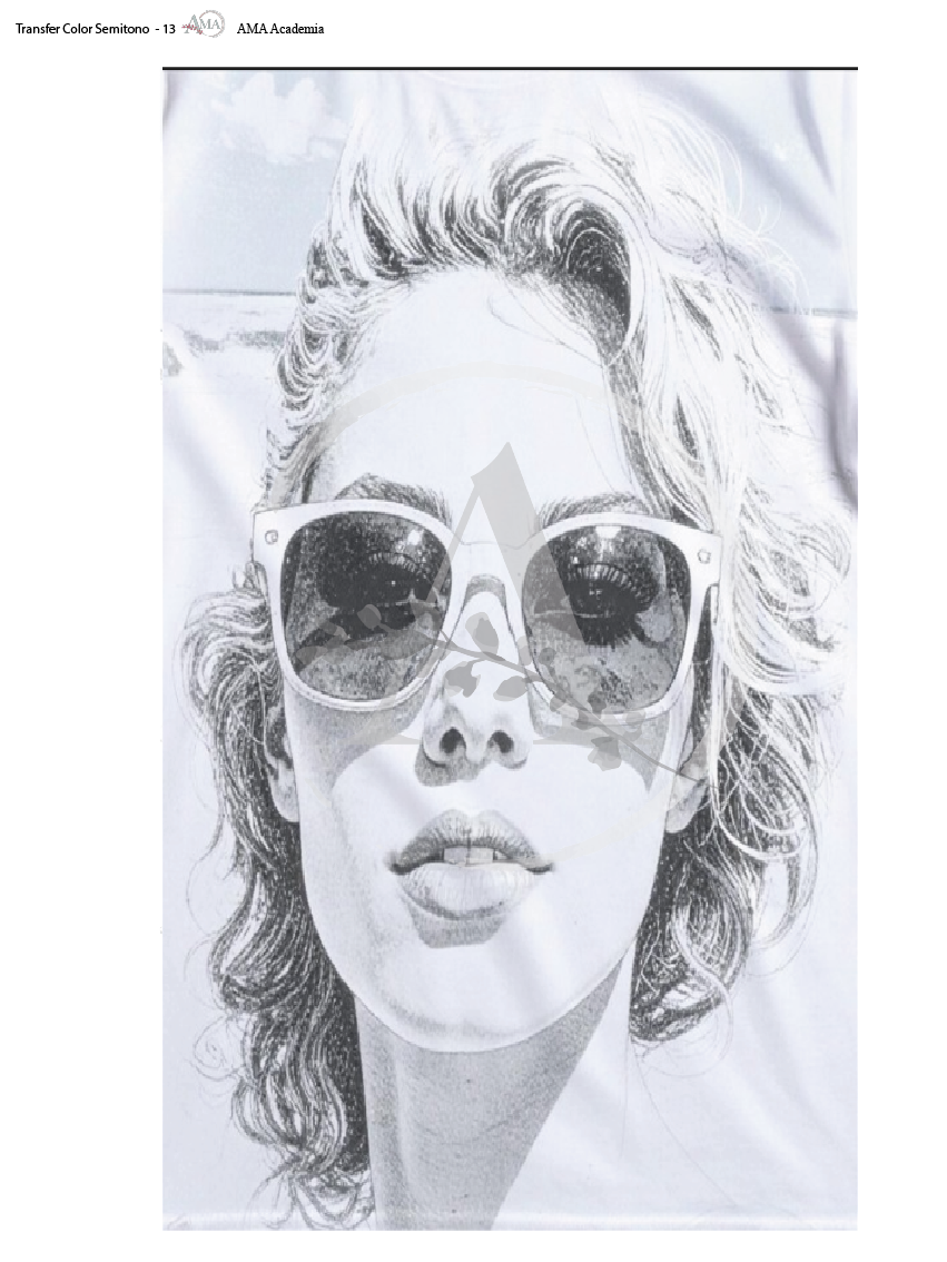 LAMINAS TRANSFER COLOR TCST-13