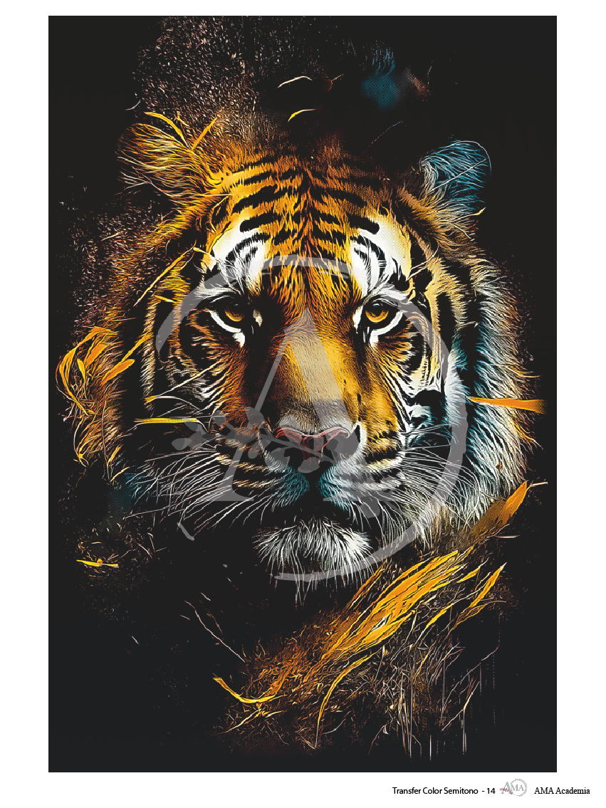 LAMINAS TRANSFER COLOR TCST-14