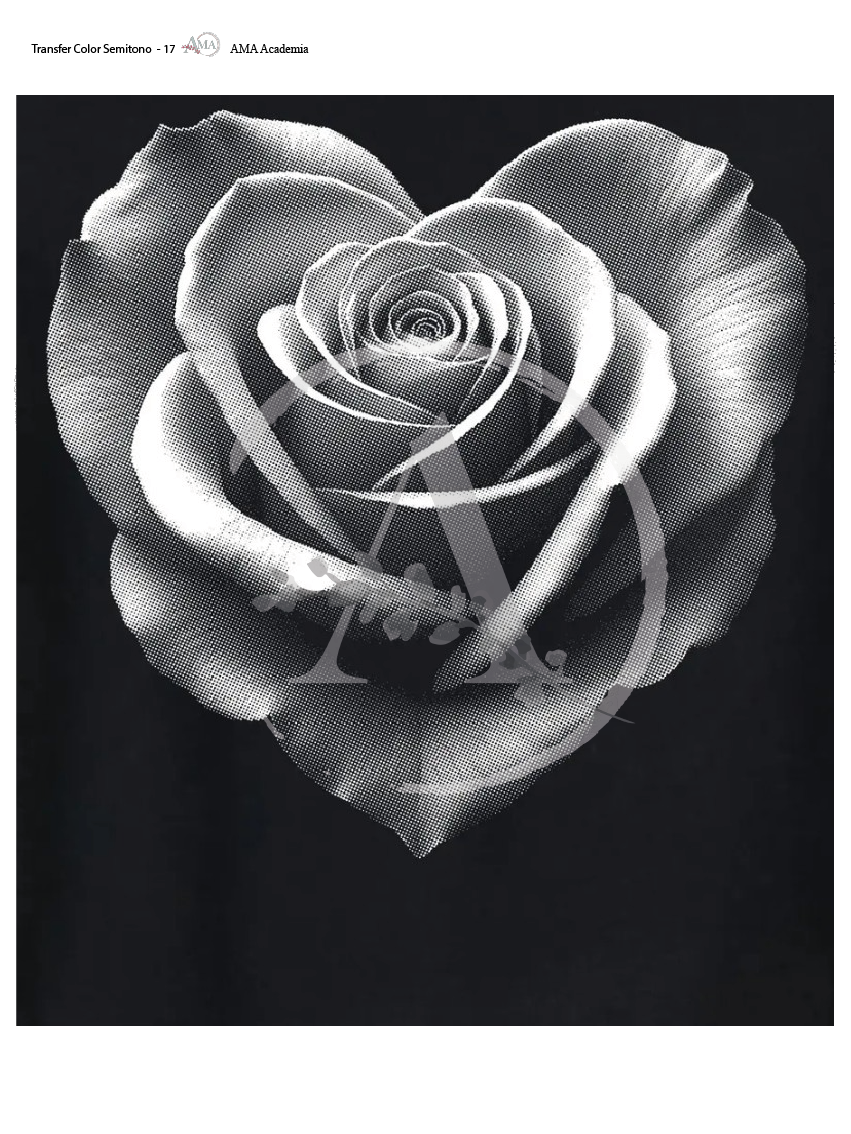 LAMINAS TRANSFER COLOR TCST-17