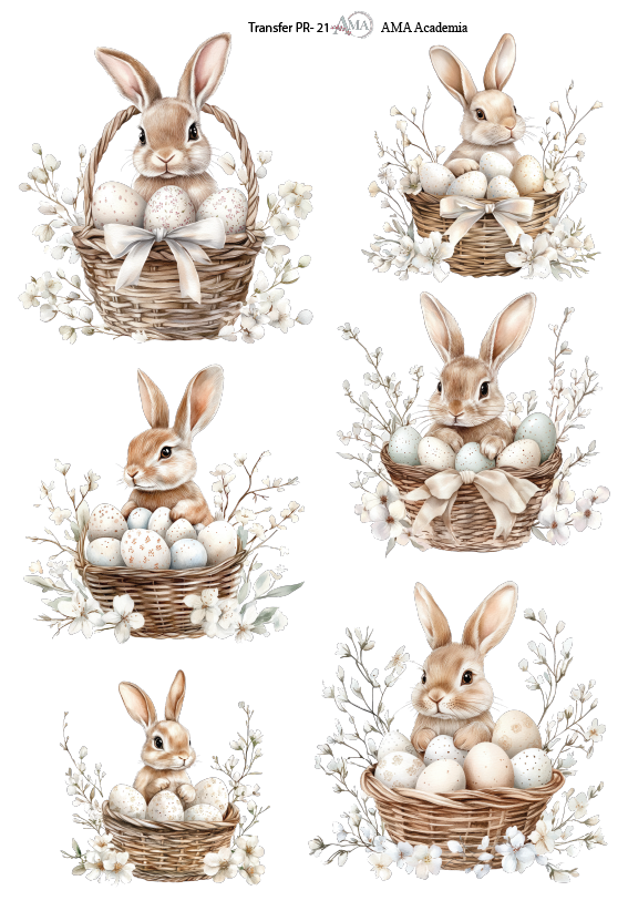 LAMINAS TRANSFER COLOR TPR-21