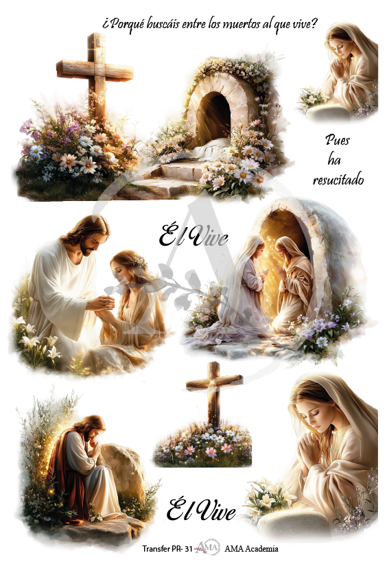 LAMINAS TRANSFER COLOR TPR-31